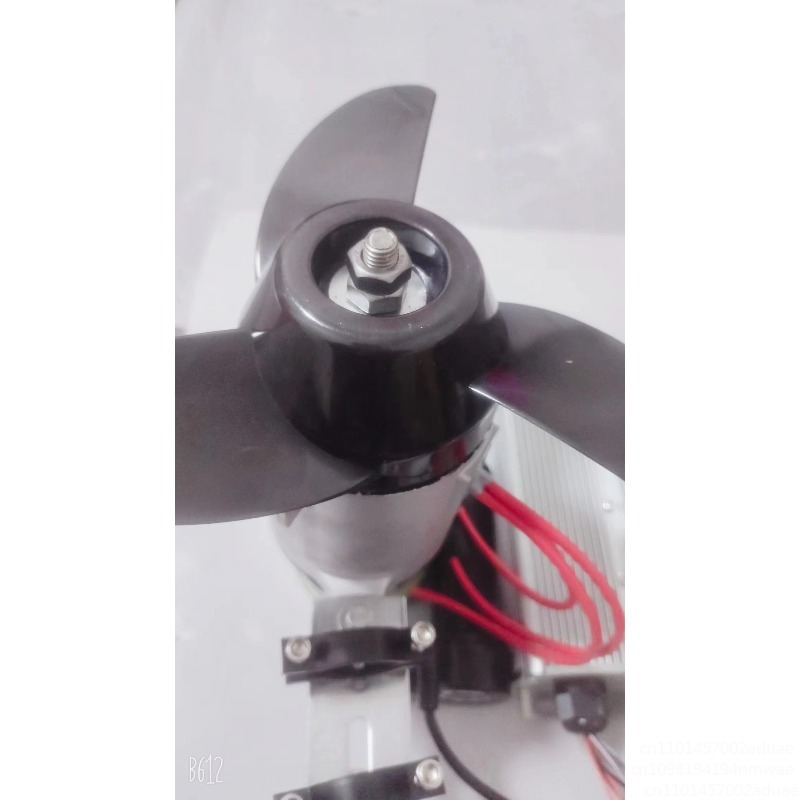Marine Electric Propeller Brus - Fishing Boat Outboard Motor recensione e prezzo